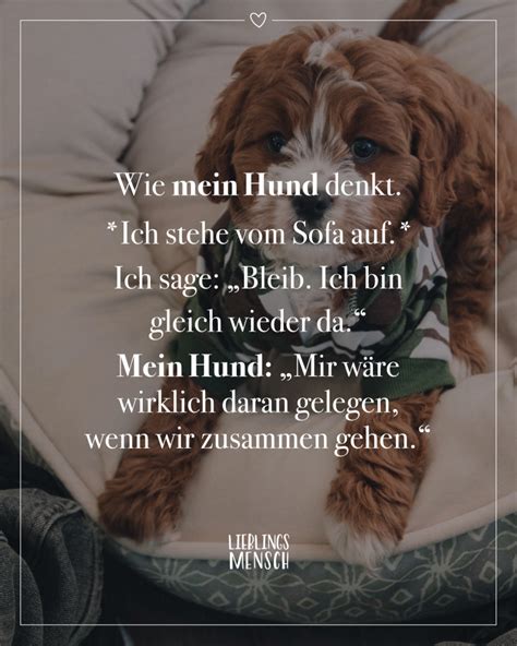 hund ficken|Mit 19 entjungferte mich mein Hund – readbeast